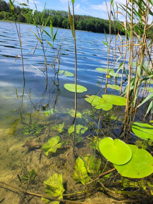 Коттедж № 290