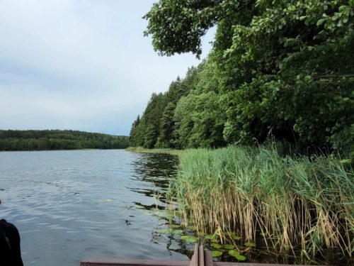 Коттедж № 290