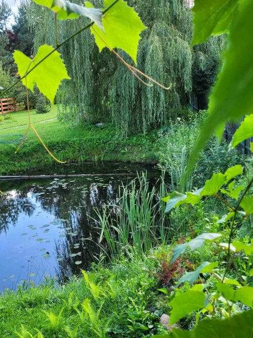 Коттедж № 290