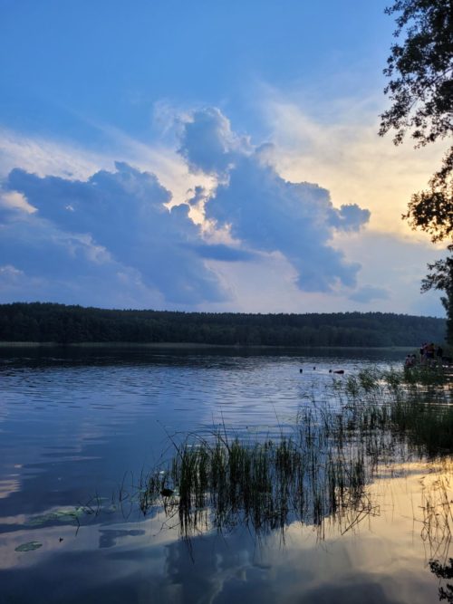 Коттедж № 290