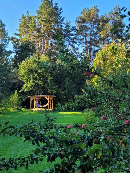 Коттедж № 290