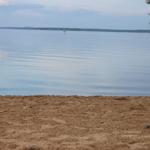 Коттедж № 355