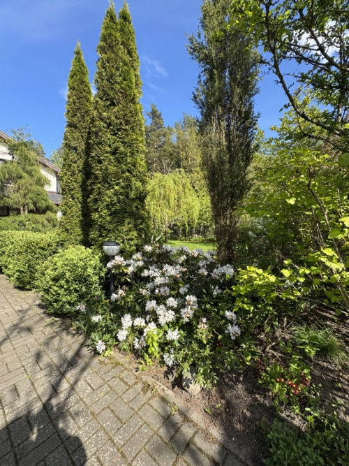 Коттедж № 294