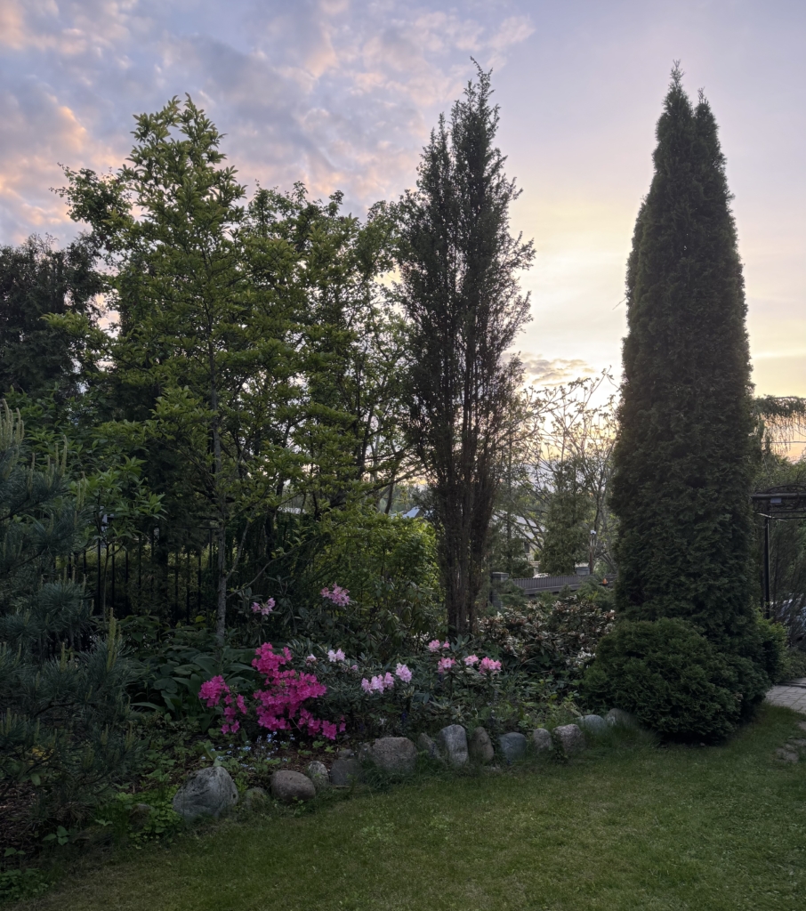 Коттедж № 294