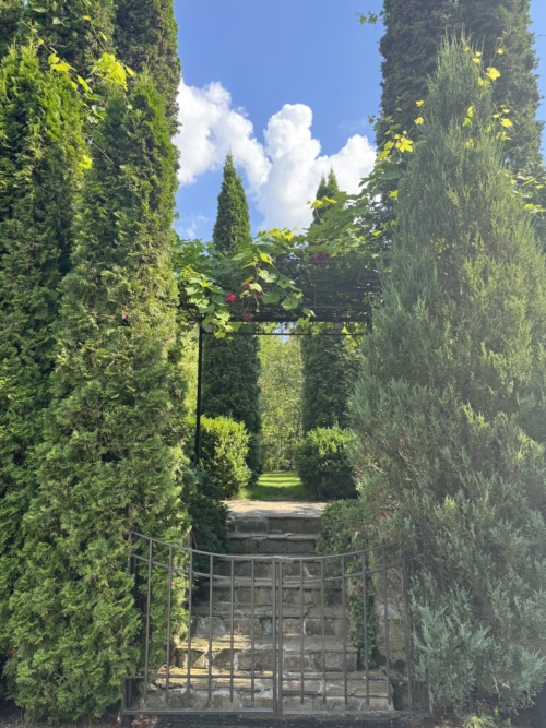 Коттедж № 294