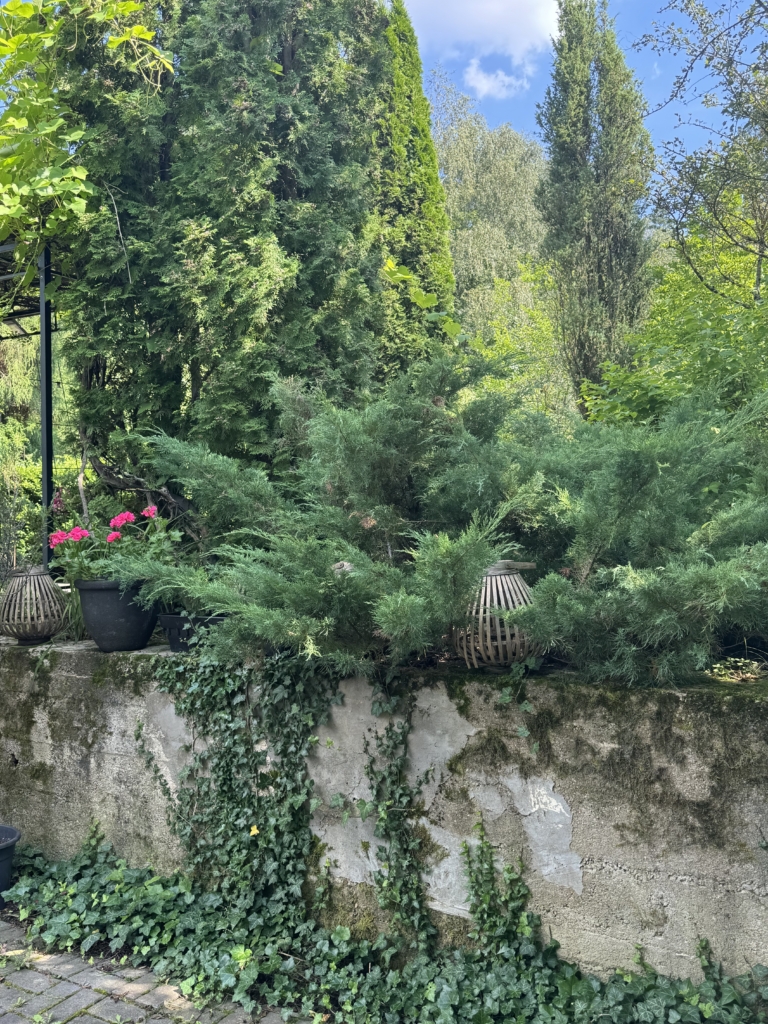 Коттедж № 294