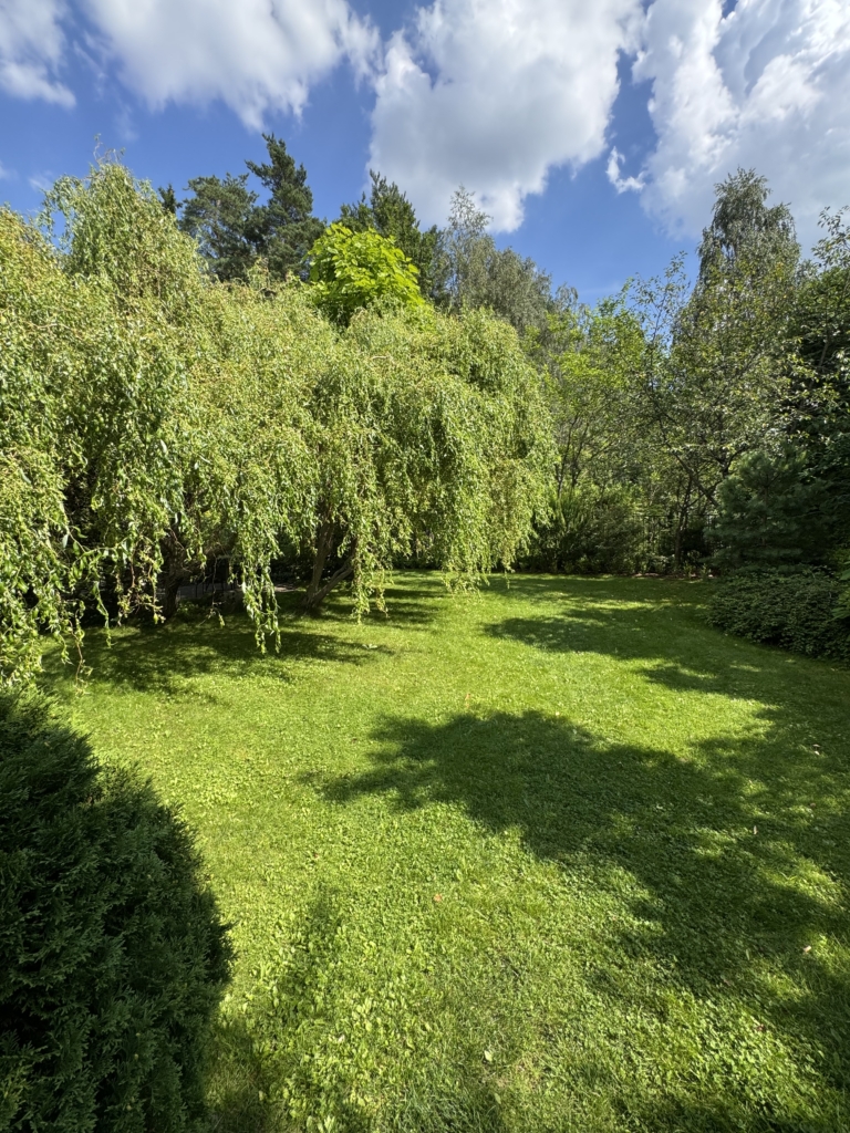 Коттедж № 294