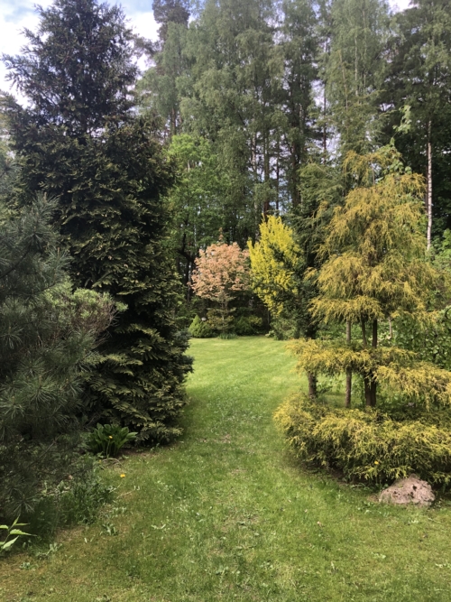 Коттедж № 294