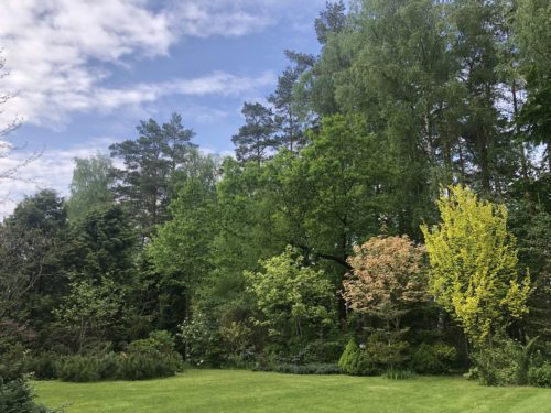 Коттедж № 294