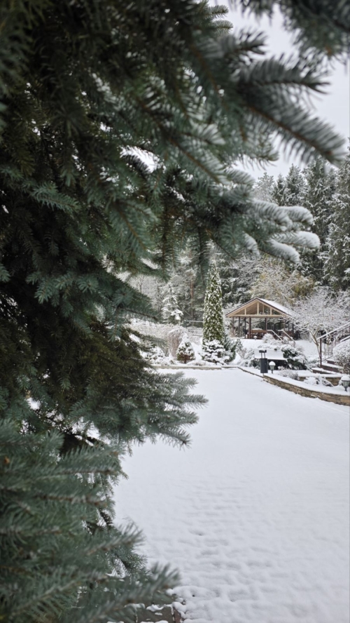 Коттедж № 300