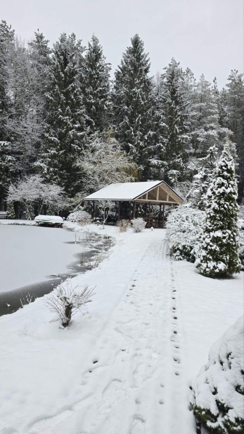 Коттедж № 300