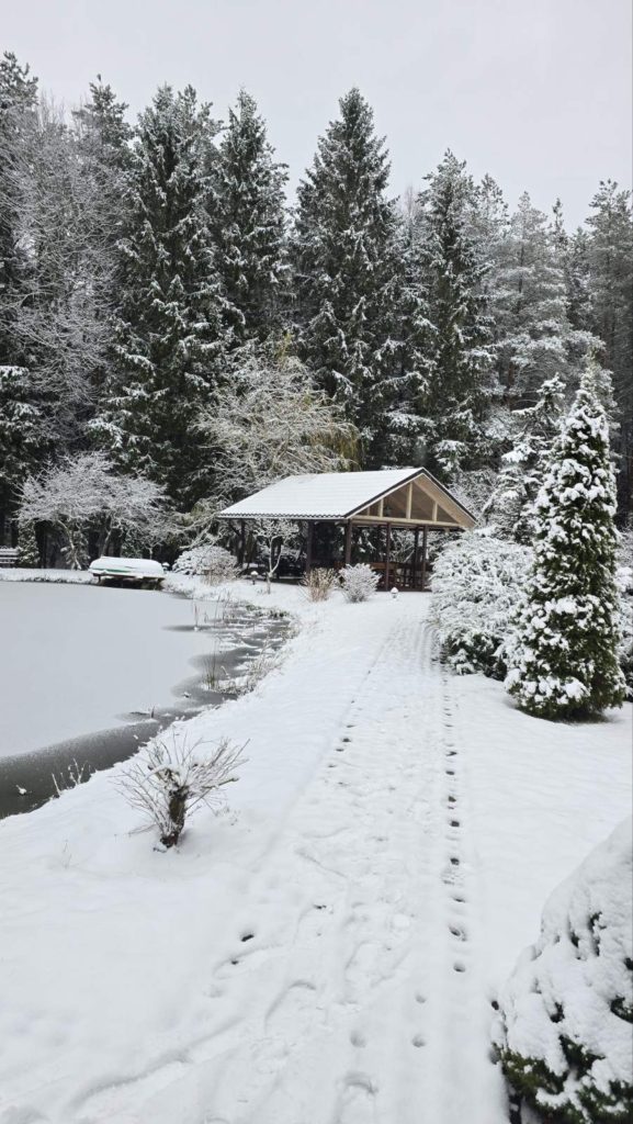 Коттедж № 300