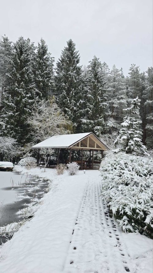 Коттедж № 300