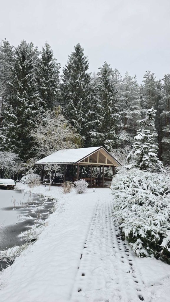 Коттедж № 300