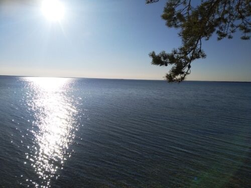 Коттедж № 270