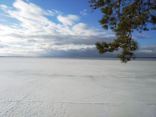 Коттедж № 270