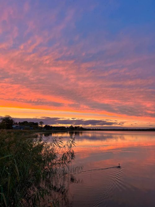 Коттедж № 245