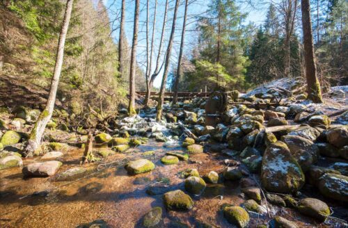 Коттедж № 222