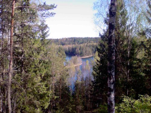 Коттедж № 222