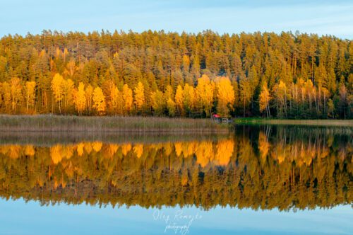 Коттедж № 222