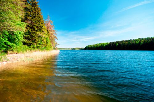 Коттедж № 222