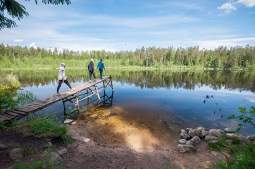 Коттедж № 222