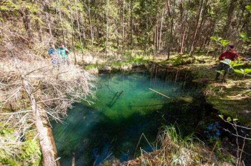 Коттедж № 222