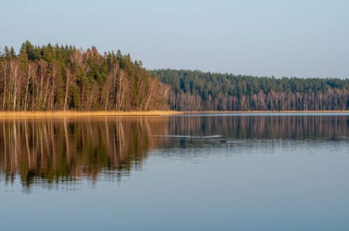 Коттедж № 222