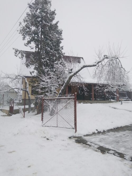 Коттедж № 221