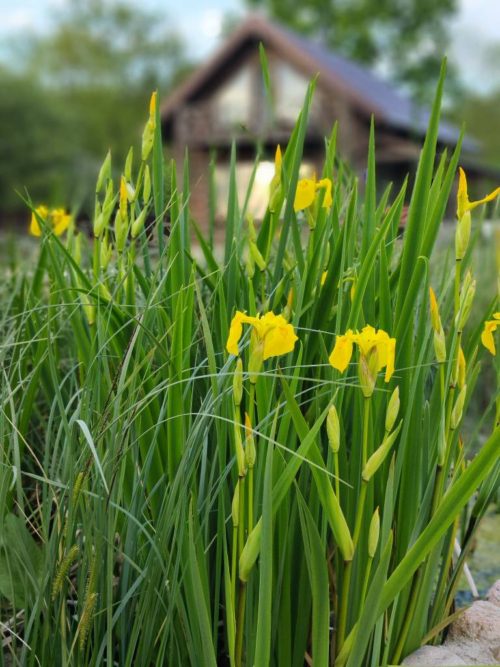 Коттедж № 206