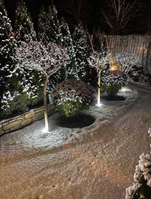 Коттедж № 194