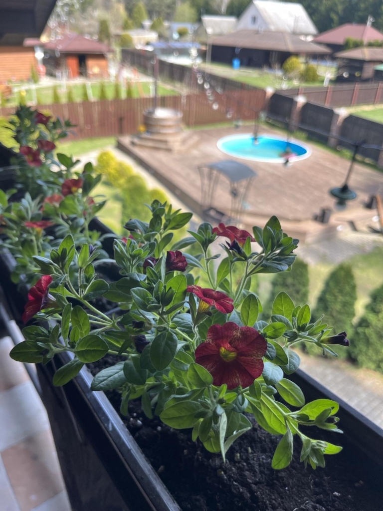 Коттедж № 207