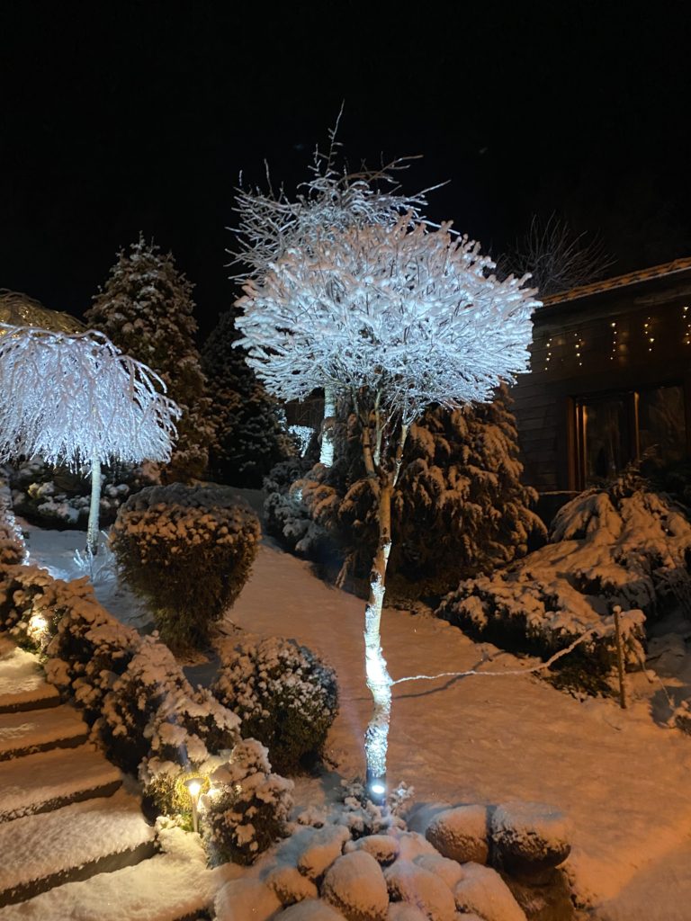 Коттедж № 194