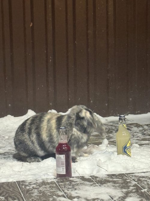 Коттедж № 206