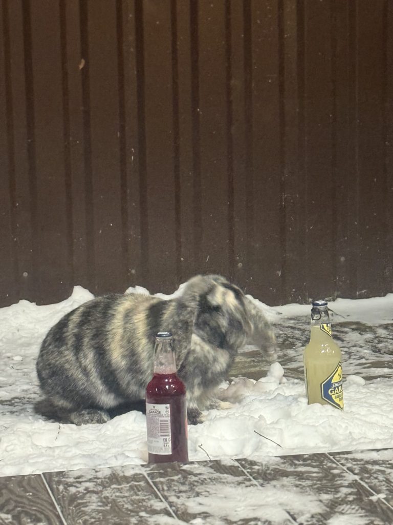 Коттедж № 206