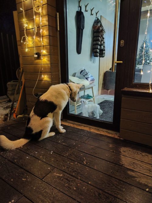 Коттедж № 206