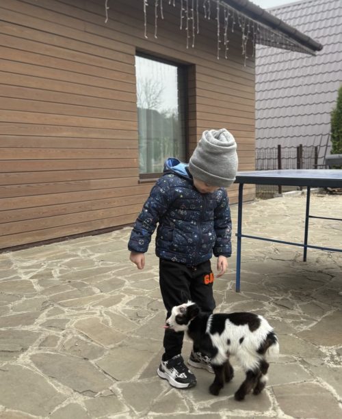 Коттедж № 206