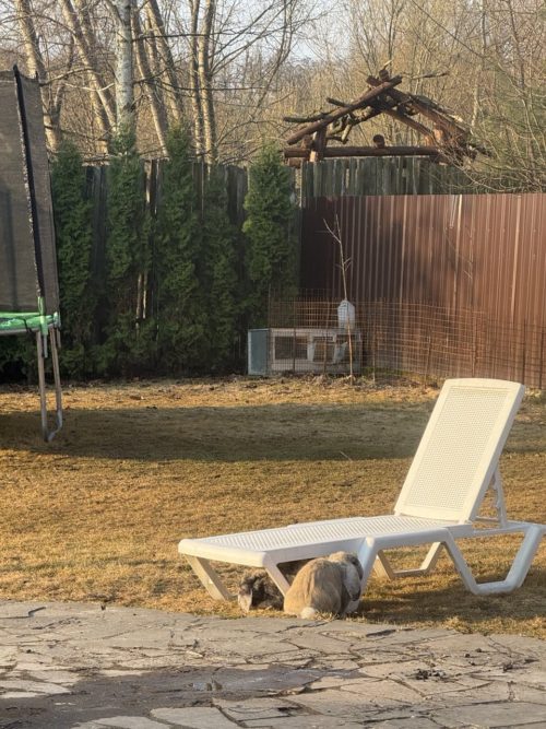 Коттедж № 206