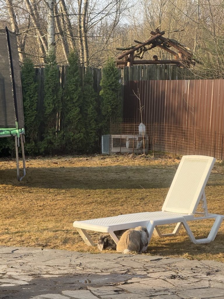 Коттедж № 206