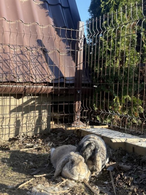 Коттедж № 206