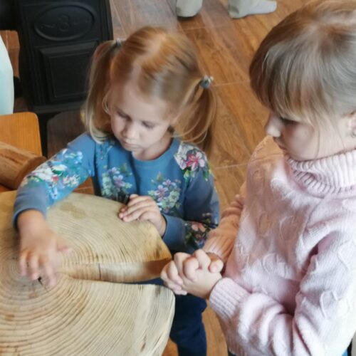 Коттедж № 145