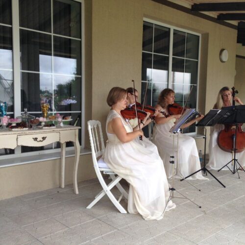 Коттедж № 146