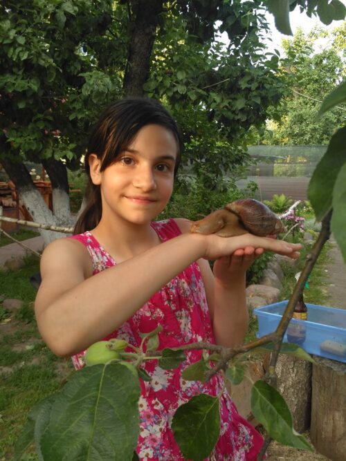 Коттедж № 145