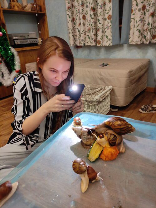 Коттедж № 145