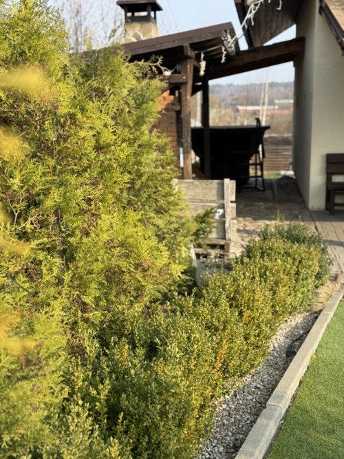 Коттедж № 155