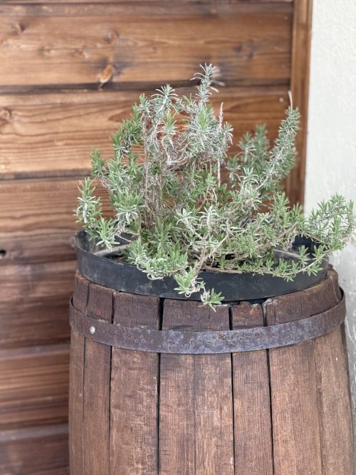 Коттедж № 155