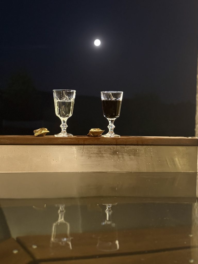 Коттедж № 155