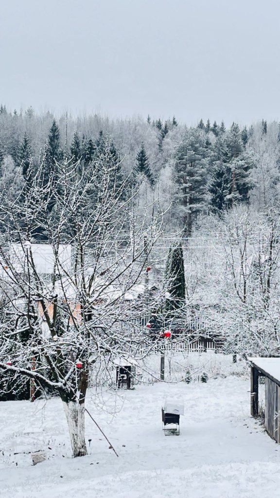 Коттедж № 150