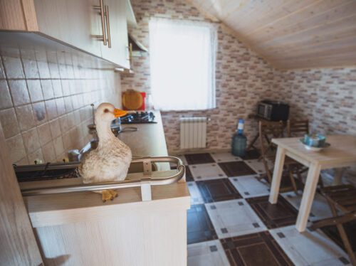 Коттедж № 117