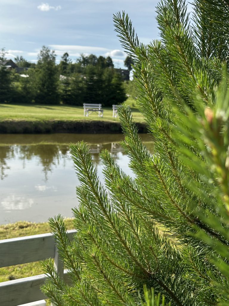 Коттедж № 129